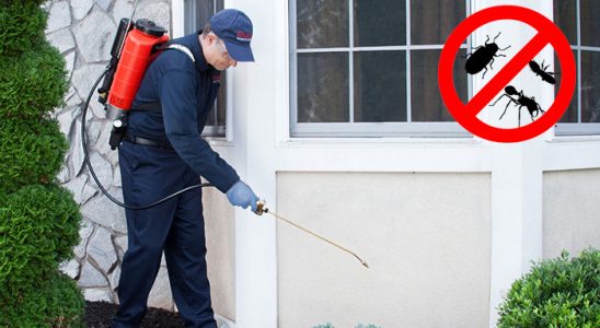 Çamardı Karınca İlaçlama böcek ilaçlama ve haşere kontrolü — ilaclama-tr.com